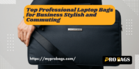 Top Professional Laptop Bags for Business Stylish and Commuting